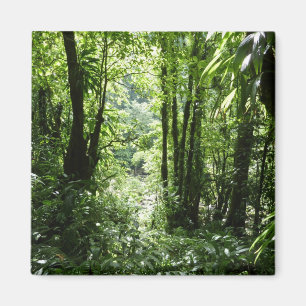 Dominican Rain Forest II Tropical Green Magnet