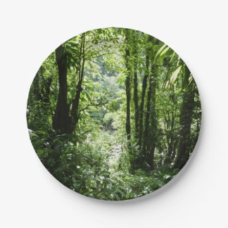 Dominican Rain Forest II Tropical Green Paper Plate