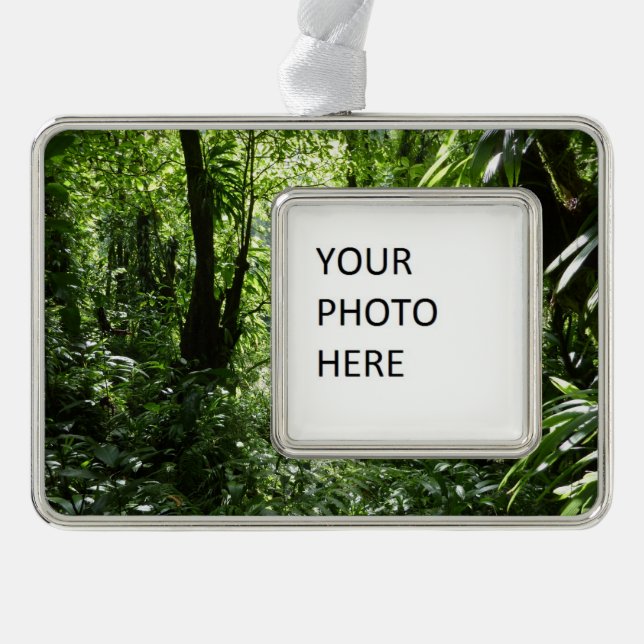 Dominican Rain Forest II Tropical Green Silver Plated Framed Ornament (Front)