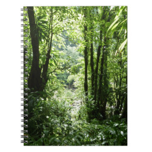 Dominican Rain Forest II Tropical Green Spiral Notebook