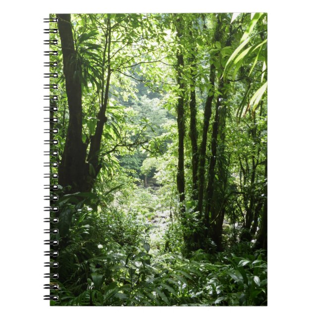 Dominican Rain Forest II Tropical Green Spiral Notebook (Front)