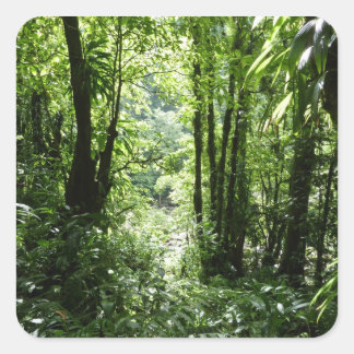 Dominican Rain Forest II Tropical Green Square Sticker
