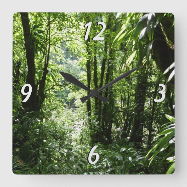 Dominican Rain Forest II Tropical Green Square Wall Clock (Front)