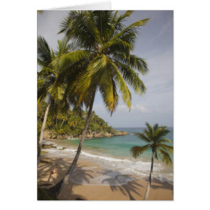 Dominican Republic, North Coast, Abreu, Playa