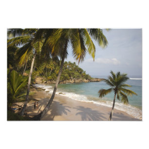 Dominican Republic, North Coast, Abreu, Playa 3 Photo Print