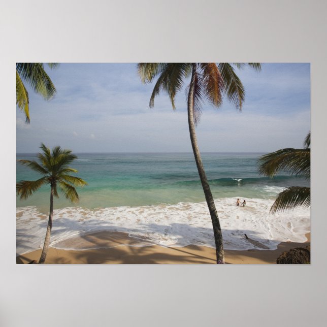 Dominican Republic, North Coast, Abreu, Playa 4 Poster (Front)