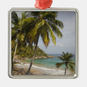 Dominican Republic, North Coast, Abreu, Playa Metal Tree Decoration