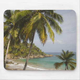 Dominican Republic, North Coast, Abreu, Playa Mouse Pad