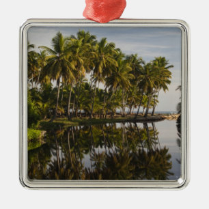 Dominican Republic, North Coast, Nagua, Playa Metal Tree Decoration