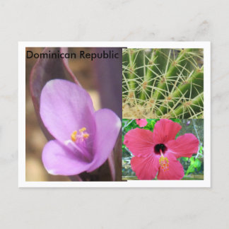 Dominican Republic Postcard