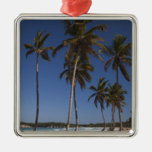 Dominican Republic, Punta Cana Region, El Metal Tree Decoration