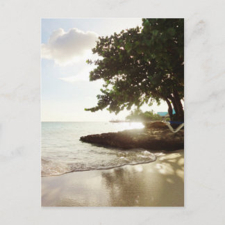 Dominican Republic Punta Canta Beach Postcard