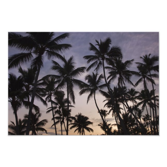 Dominican Republic, Samana Peninsula, Las 2 Photo Print (Front)