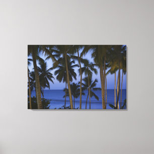 Dominican Republic, Samana Peninsula, Las Canvas Print