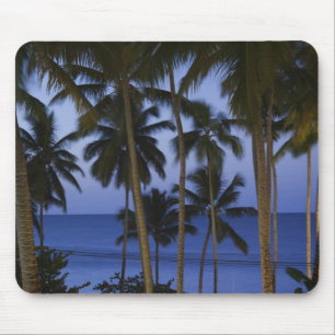 Dominican Republic, Samana Peninsula, Las Mouse Pad