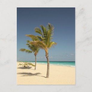 Dominican Republic Tropical Beach Postcard