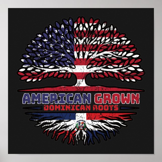 Dominican Republic US American USA United States Poster (Front)