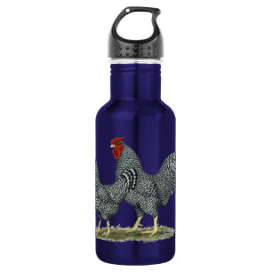 Dominique Chickens 532 Ml Water Bottle