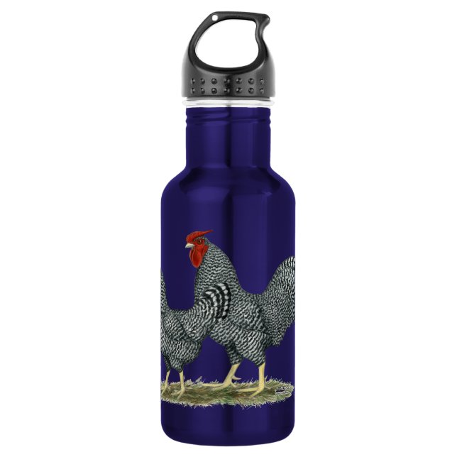 Dominique Chickens 532 Ml Water Bottle (Front)