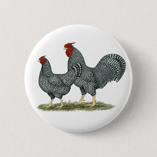 Dominique Chickens 6 Cm Round Badge