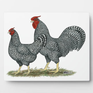 Dominique Chickens Plaque