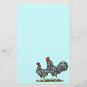 Dominique Chickens Stationery