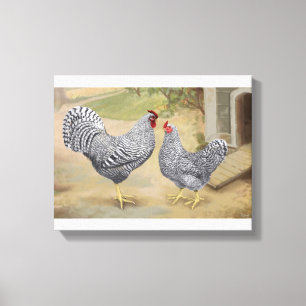 Dominique Rooster and Hen Canvas Print