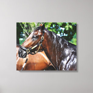 Dom's Pizza Empire Canvas Print