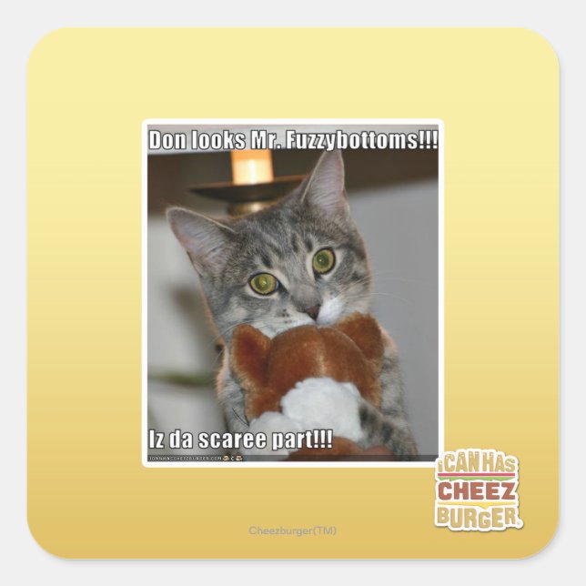 Don looks square sticker (Front)