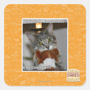 Don looks square sticker