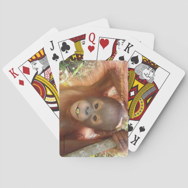 Donald Orangutan at Borneo Care Centre Playing Car Playing Cards (Back)