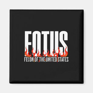 Donald Trump 47 Fotus Felon Of The United States P Magnet