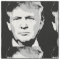 DONALD TRUMP BLOCK DESIGN