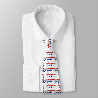Donald Trump In Red, White & Blue Hebrew Tie