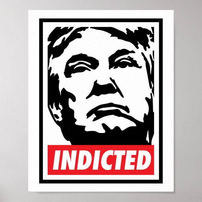 Donald Trump Indicted 2023 Poster (Front)