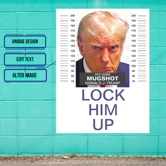 Donald Trump Mug Shot Lock Him Up Colour Poster (Commemorate this unprecedented occasion.)