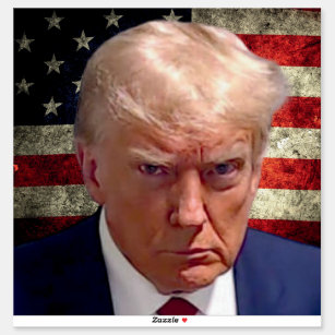 Donald Trump Mug Shot Sticker with American Flag 