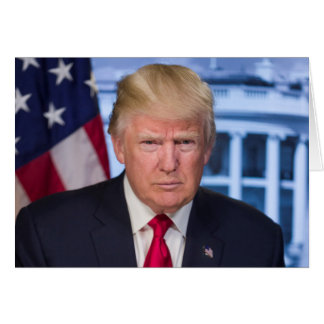 Donald Trump Official Presidential Portrait