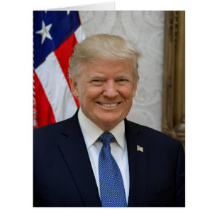 Donald Trump US President White House MAGA 2024