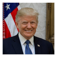 Donald Trump US President White House MAGA 2024