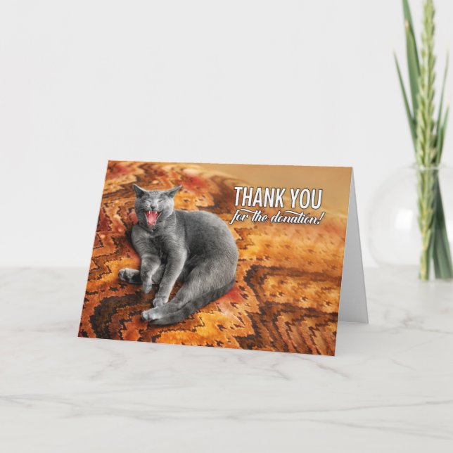 Donation Grey Cat on a Pillow Donor Thank You Card (Front)