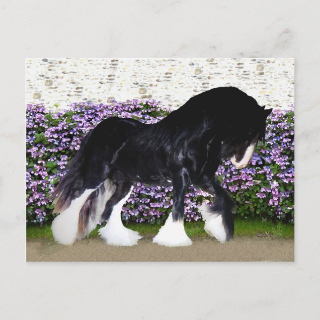 "Donegal" Post Card (Front)