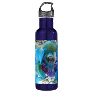 Donella 710 Ml Water Bottle