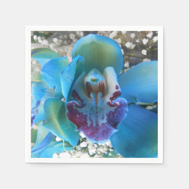 Donella Napkin (Front)