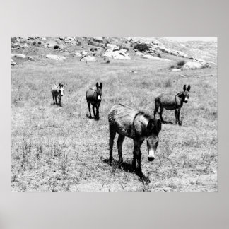 donkey 001 poster