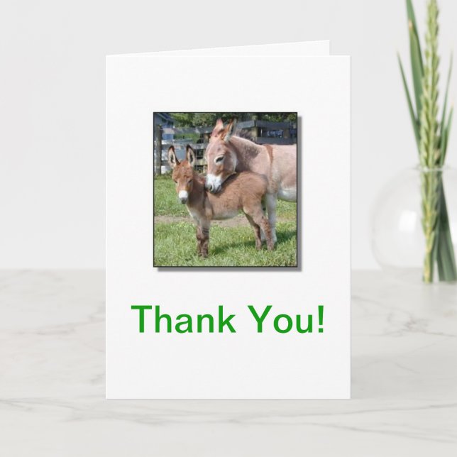 Donkey and Baby Thank You Card (Front)