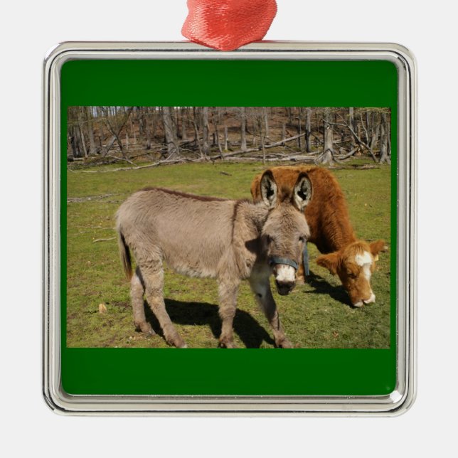 Donkey and Cow Ornament (Front)