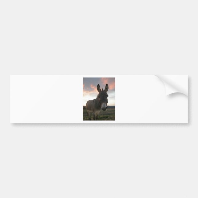 Donkey Art Bumper Sticker (Front)