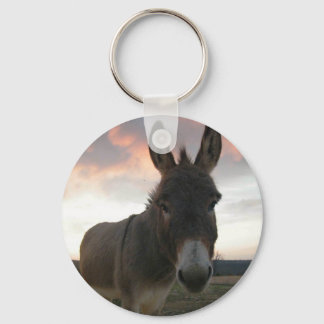 Donkey Art Key Ring