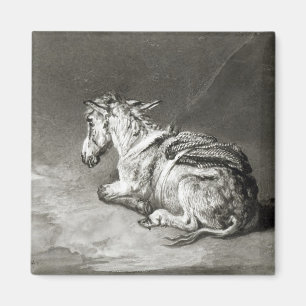 Donkey at Rest Magnet